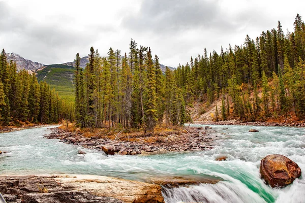 Magnificent Waterfalls Canada Alberta Province Rough Water Sunwapta River Seething — Stock Photo, Image