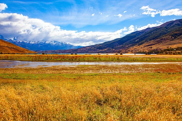 Patagonia Chilena Parque Torres Del Paine Laguna Azul Pequeño Charco —  Fotos de Stock