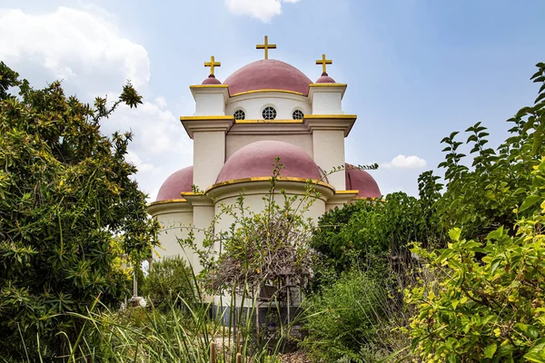 Tropikalny Park Wokół Kościoła Grecki Klasztor Prawosławny Dwunastu Apostołów Kafarnaum — Zdjęcie stockowe