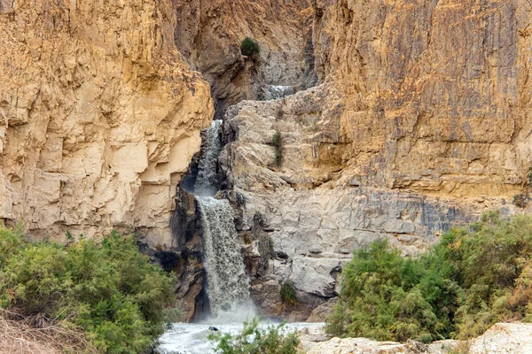 Kidron deresinde kış seli. Meşhur İncil akışı Kidron. İsrail 'de soğuk yağmurlu kış. Ölü Deniz kıyısındaki antik Yahudi dağları