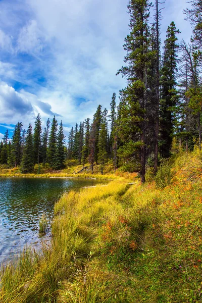 Rocky Mountains Canada Yellow Dry Autumn Grass Shallow Lake Quiet — Stockfoto