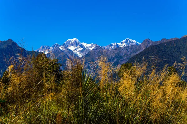 Vegetação Exuberante Nova Zelândia Distância Nevada Pico Mais Alto Monte — Fotografia de Stock