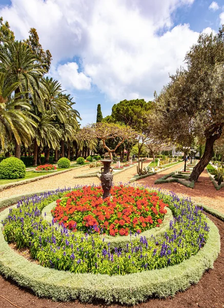 Parlak kırmızı çiçekli lüks çiçek tarhı. Bahai Dünya Merkezi. Hacc merkezi ve popüler turizm merkezi. Carmel Dağı 'nın yamacı. Hayfa, İsrail.