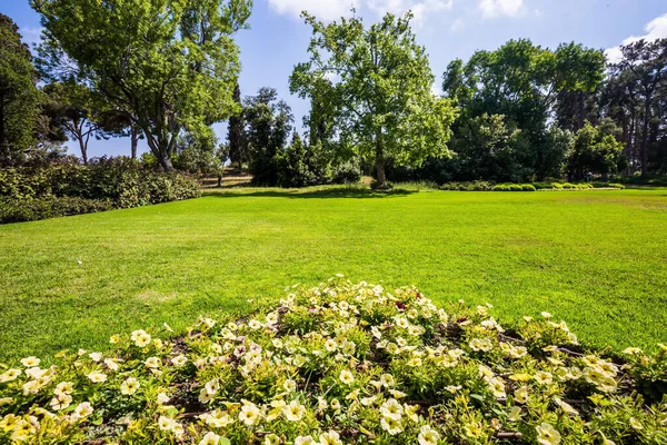 イスラエルだ きれいな手入れの行き届いた公園で素晴らしい散歩 公園の中心部にある大きな緑の芝生の牧草地 カーメル山の斜面にある壮大な植物公園 — ストック写真