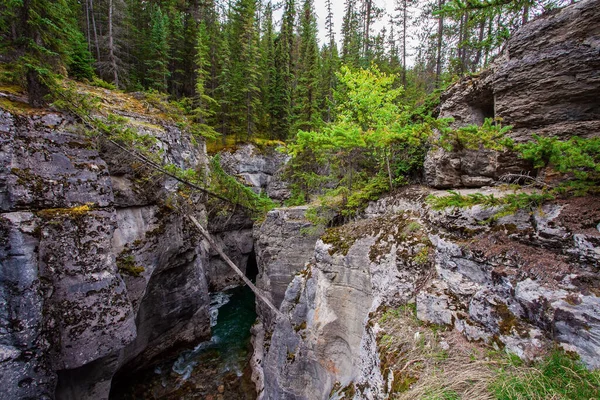 Res Till Klippiga Bergen Maligne Canyon Ravin Kanadensiska Klippiga Bergen — Stockfoto