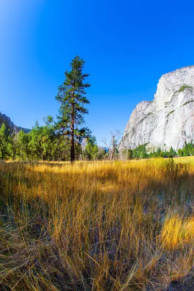 California Usa Yellow Autumn Grass Yosemite Valley Park Located Slopes — Stock Photo, Image