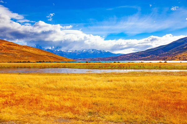 Pequena Poça Junto Lago Outono Dourado Patagônia Chilena Parque Torres — Fotografia de Stock