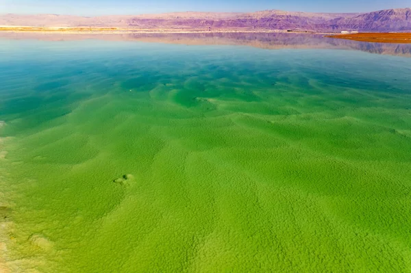 Magic Dead Sea Clear Green Water Salty Sea Surrounded Pink — Photo