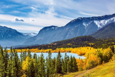  Abraham Lake. İlk kar Kanada Kayalıkları 'nın zirvelerine düştü bile. Ağaç ve kavak ağaçlarının sarı yaprakları yeşil kozalaklılarla karıştırılır..