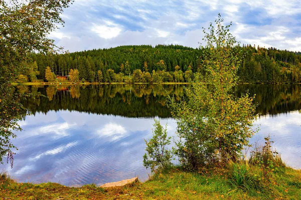 风景如画的冰川湖温费勒见 清澈光滑的水面反映了云彩和沿海的森林 Schwarzwald 凉爽的秋日 — 图库照片