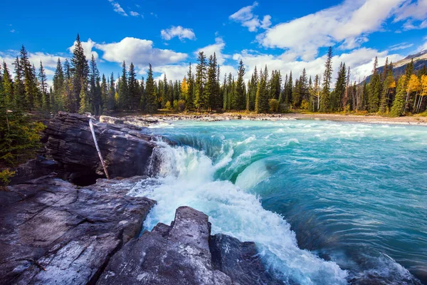 Meşhur Haşin Athabasca Şelalesi Jasper Parkı Dağlar Nehir Şelale Muhteşem — Stok fotoğraf