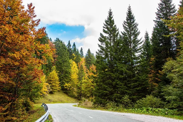Resimli bir sonbahar ormanında asfalt yol. Güneşli bir sonbahar günü. Resimli Julian Alps. Dağ vadisinde yeşil çimenler. Slovenya 'ya Seyahat