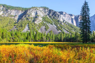 Yosemite Ulusal Parkı - California, ABD 'de ünlü, büyük ve pitoresk bir park. Sierra Nevada - Karlı Dağlar. Vahşi doğaya harika bir yolculuk. Yosemite Vadisi 'ni saran görkemli dağlar.