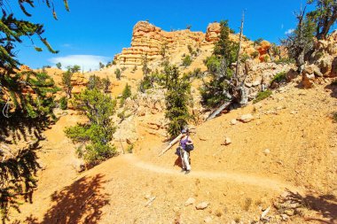 Red Canyon Kemerleri Losee Kanyonu 'nda yol açıyor. ABD. Red Canyon 'daki en popüler patikalar. Kanyon yolunda fotoğraf makinesi olan bir kadın.