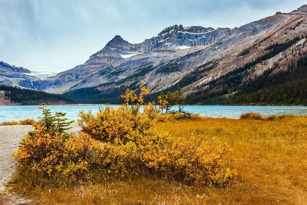 Rockies Canada Hierba Otoño Roja Amarilla Naranja Orillas Del Lago — Foto de Stock