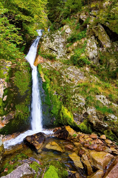 Resimli yüksek su çağlayan şelale Allerheilijeni. Avrupa 'nın merkezindeki ünlü orman - Kara Orman / Schwarzwald /. Almanya. Sonbahar bulutlu günü. 