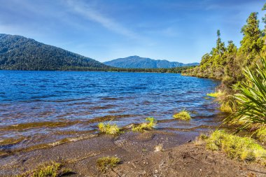  New Zealand, South Island. Shallow ocean bay. The road to Knight's Point Lookout is an majestic landscape. Picturesque overgrown shores. Travel to the ends of the world