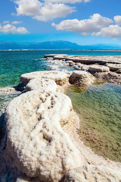 蒸発した塩は水の表面に奇妙な結晶の形をしている イスラエルの海岸 暖かい冬の2月の日 ユニークな死海 世界で最も塩辛い湖 — ストック写真