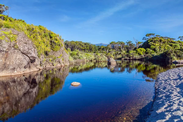 Schilderachtige Reflecties Van Overwoekerde Kusten Het Gladde Water Van Resterende — Stockfoto