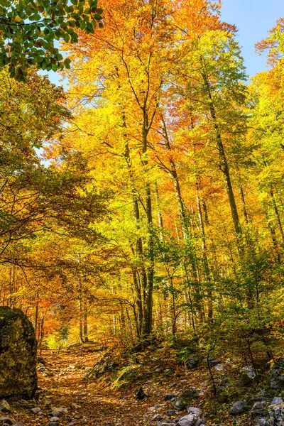 Slovenia Logarska Valley Magnificent Golden Autumn Mountains Warm Sunny Day — стоковое фото