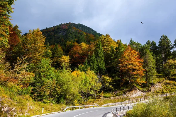 Golden Autumn Slovenia Europe Asphalt Road Mountain Range Spur Julian — Foto Stock