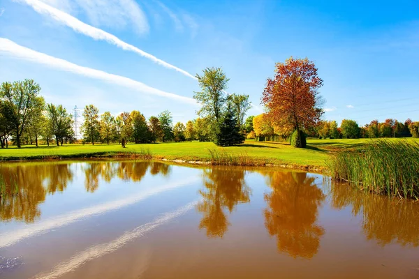 Shallow Lake Gorgeous Bright Autumn Landscape Trees Green Yellow Orange — Stock Photo, Image