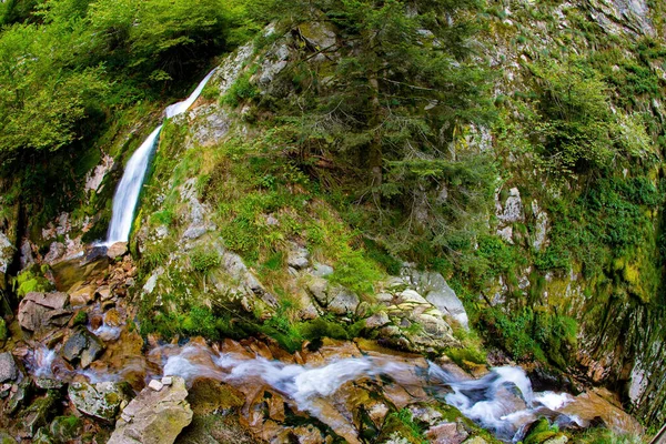 Rotsachtige Bedding Van Waterval Allerheiligen Bedekt Met Mos Reis Naar — Stockfoto