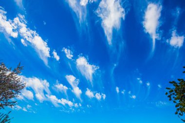 Ilık bahar güneşi dünyayı aydınlatır. İsrail 'de rüzgarlı ve taze bir bahar günü. Uçan hafif sirrus bulutları ve parlak mavi gökyüzü