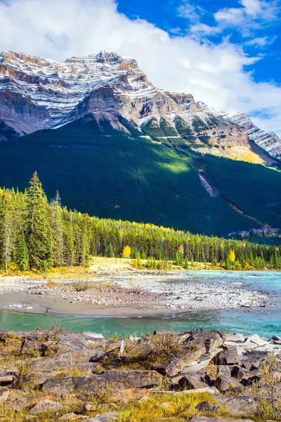 Canadá Rio Athabasca Começa Glaciar Columbia Jasper Park Montanha Rio — Fotografia de Stock