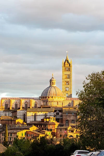 Siena Katedrális Duomo Siena Óvárosának Központja Napnyugta Olasz Gótika Jelentős — Stock Fotó