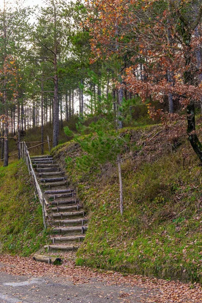 Escaleras Madera Una Ladera Cubierta Hierba Las Pintorescas Laderas Las —  Fotos de Stock