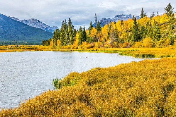 北の秋への旅行 黄色の秋の草や白樺の葉の間に朱色の湖 カナダのロッキー山脈の壮大な風景 — ストック写真