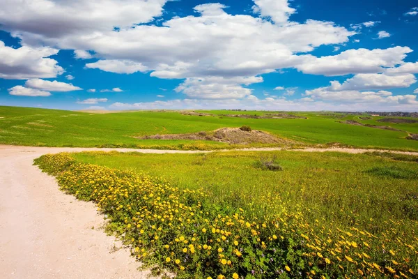 ネゲヴ砂漠の開花 緑の新鮮な草や野の花は 北ネゲヴの丘や谷をカバーしています 広い未舗装道路が谷を横切る 青空と白い雲 — ストック写真