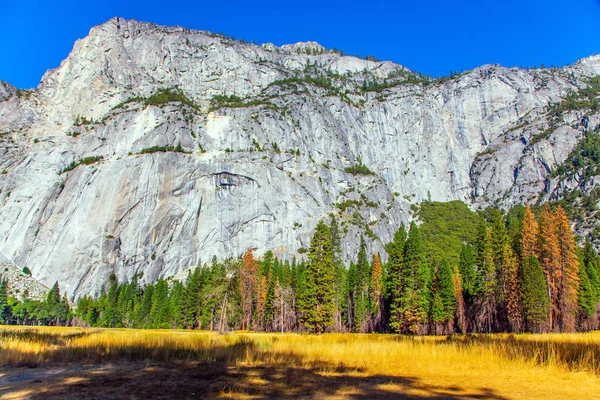 Podzim Zažloutlou Trávu Loukách Údolí Yosemitský Park Nachází Svazích Sierry — Stock fotografie