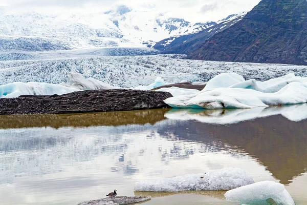 Laguna Glacial Jokulsarlon Una Imponente Laguna Panorámica Norte Islandia Glaciares — Foto de Stock