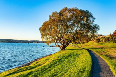 Göl kenarında güzel bir yürüyüş. Muhteşem gün batımı. Gölde sakin bir akşam. Taupo, Yeni Zelanda, Kuzey Adası 'ndaki en büyük göldür. Turistler için en popüler tatil yerleri.