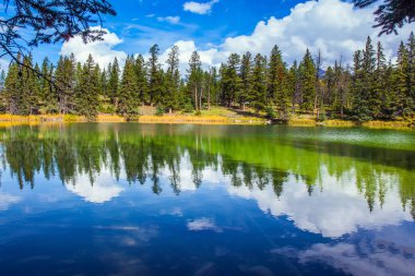  Kanada 'nın Rocky Dağları. Hint yazı. Jasper Parkı. Soğuk yeşil suyu olan küçük yuvarlak göl. Kozalaklı orman ve parlak sarı sonbahar otları suya yansıyor..