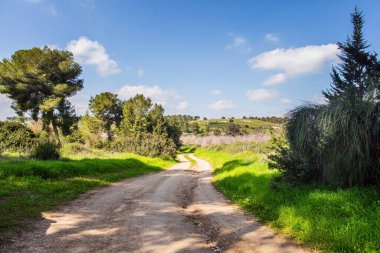 Geniş toprak yol çiçekli bir çayırı geçer. Sıcak güneşli bir gün. İsrail. Çiçek açan büyük badem bahçesinin kenarında.. 