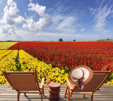 Çok renkli bahçe çiçekleri olan muhteşem bir halı. Ranunculus. Tahta şezlonglar ve dinlenmek için bir masa. Sandalyeye asılmış zarif kadın şapkası. Botanik turizm konsepti
