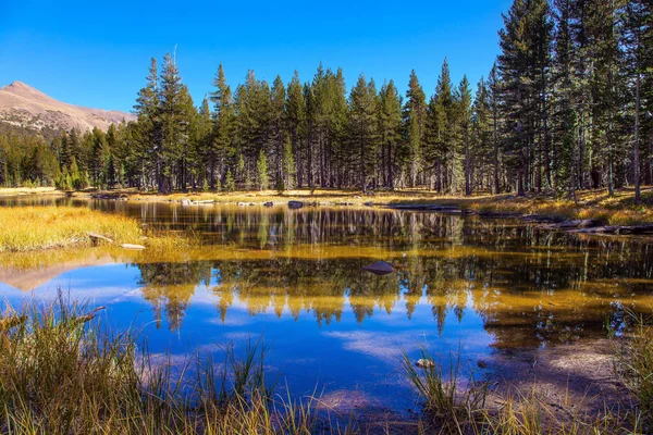 Egyesült Államok Tioga Hágó Yosemite Parkban Erdő Hegy Tükröződik Sima — Stock Fotó