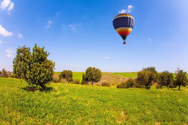 Velden Met Lentebloemen Felle Zuidelijke Zon Heldere Veelkleurige Heteluchtballon Vliegt — Stockfoto