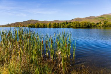 Cook Park Dağı 'ndaki sessiz dağ gölü. Yeni Zelanda 'nın en yüksek dağı Aoraki veya Cook Dağı' dır. Aktif, yürüme ve fotoğraf turizmi kavramı