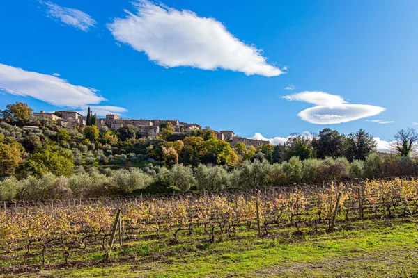 Magnífica Itália Dia Ensolarado Início Inverno Famosas Vinhas Província Toscana — Fotografia de Stock