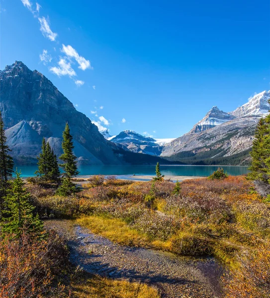 カナダの雄大なロッキー山脈 紺碧の澄んだ水と氷河湖 アルバータ州 レイク 湖の周りのスプルースと松 — ストック写真