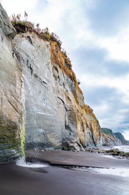 Kuzey Taranaki 'nin Pasifik kıyısındaki Saf Beyaz Kayalıklar. Pasifik Okyanusu 'nda gelgit var. Yeni Zelanda 'nın muhteşem doğası. Kuzey Adası