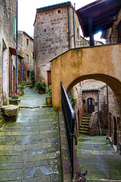 Ciudad Toba Sorano Calle Estrecha Puente Ciudades Etruscas Toscana Pueblos — Foto de Stock