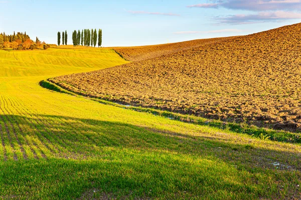 Picturesque Hills Gardens Vineyards Tuscany Beautiful Tuscany Green Yellow Orange — Stock Photo, Image
