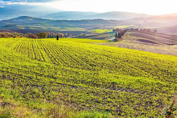 Bela Toscana Cores Verde Amarelo Laranja Belo Verão Indiano Itália — Fotografia de Stock
