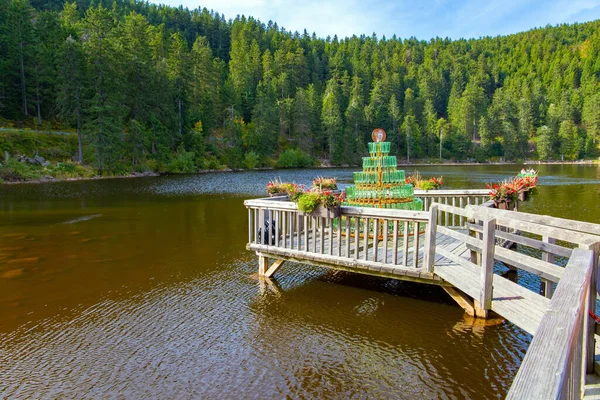 Černý Les Malebné Krasové Jezero Mummelsee Obklopeno Hustým Stále Zeleným — Stock fotografie