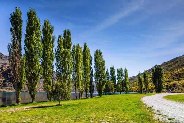 柏树小巷 风景如画的小山和克伦威尔周围的蓝色湖泊 湖边的草甸 神奇的新西兰 生态和摄影旅游的概念 — 图库照片